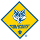 Cub Scouts